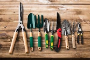 Essential Tools for Your Survival Garden