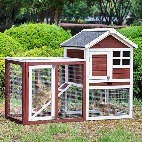 outdoor bunny house