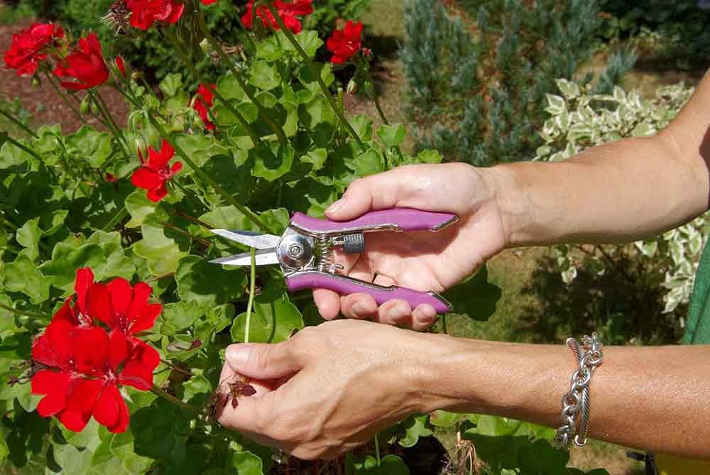 Compact-Pruning-Shears