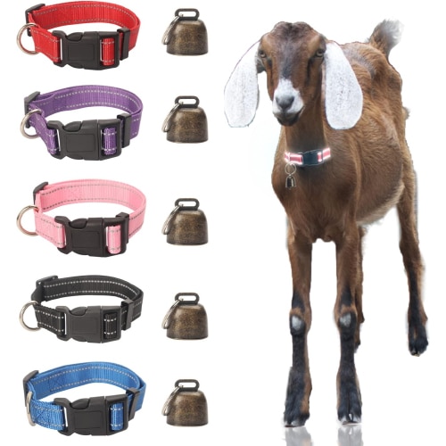 5-Pack-Goat-Collar-with-Bell