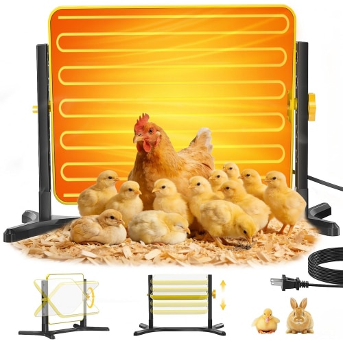 Brooder-Plate-for-Chicks